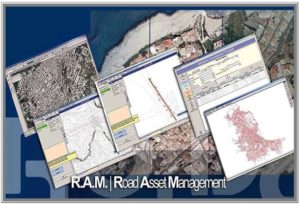 Road Asset Management